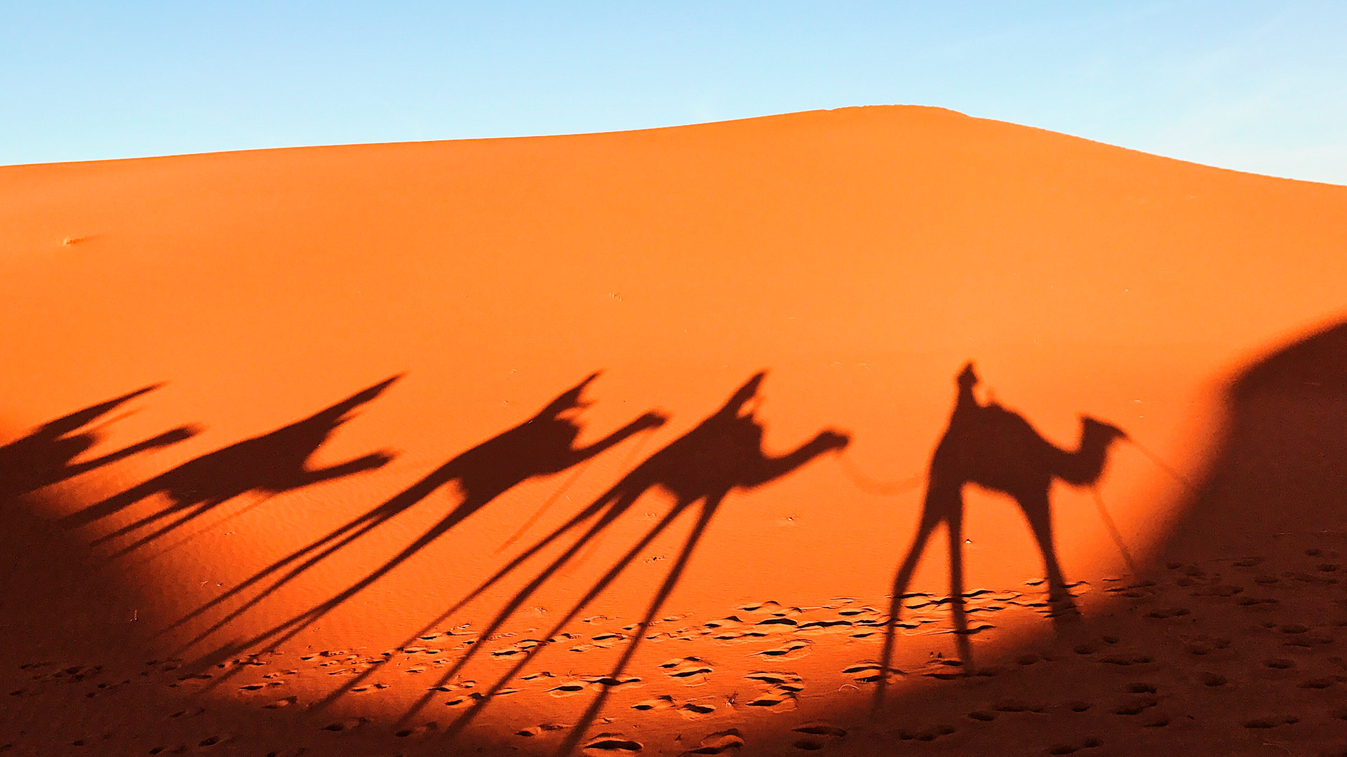 Las curiosidades sobre la vida en el Sáhara