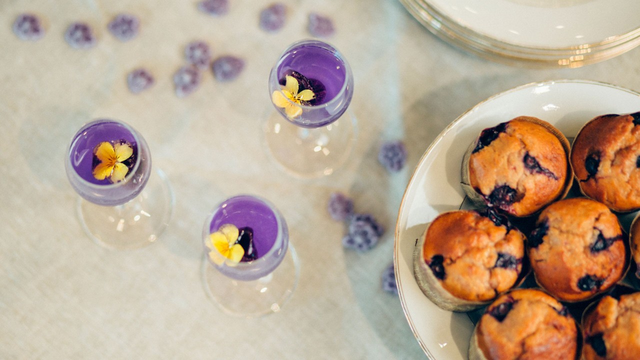 brunch-canopy-02-1920x1080