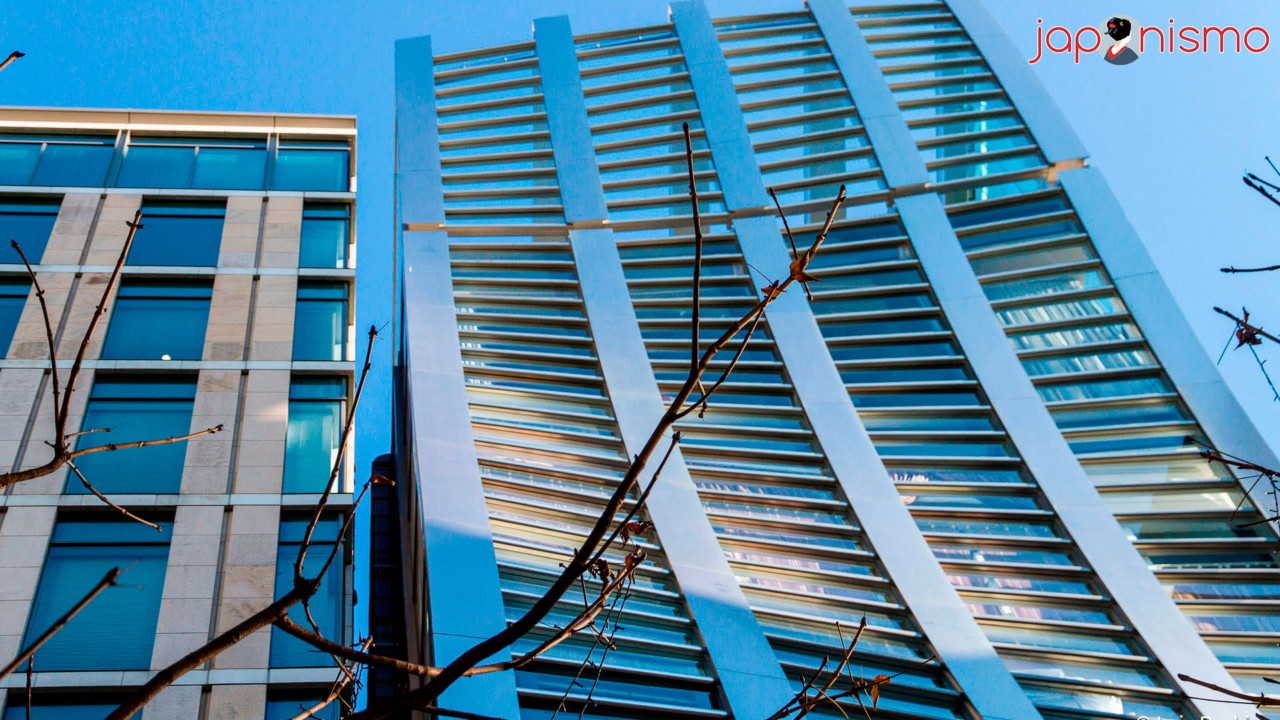 Ginza: Lujo y arquitectura en pleno centro de Tokio