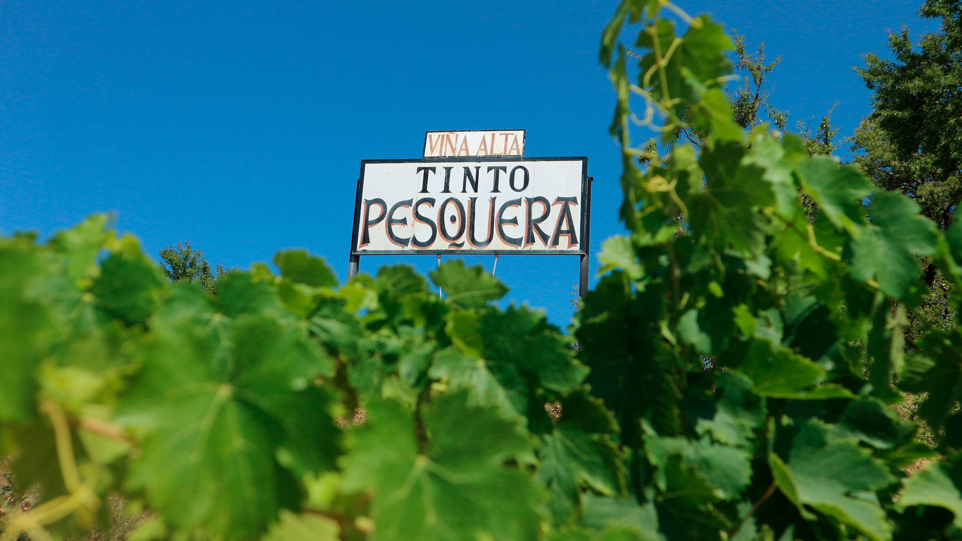 Tinto Pesquera presenta tres nuevos vinos