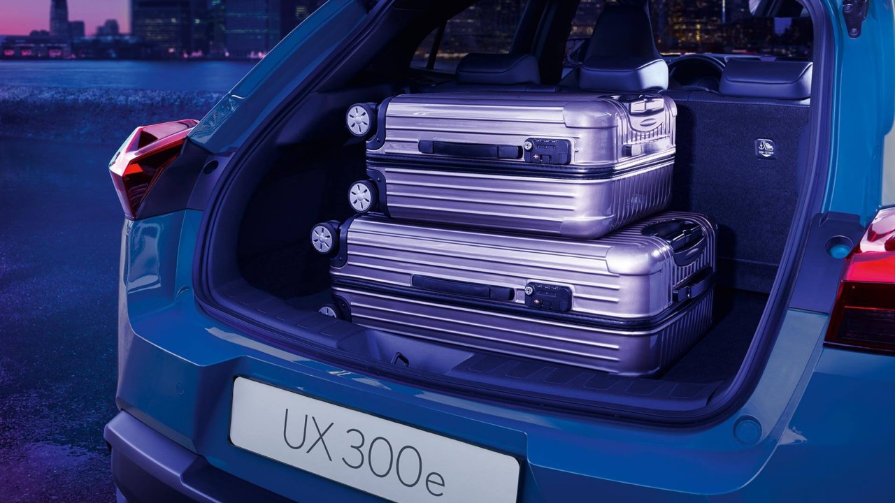 UX 300e Gallery 8